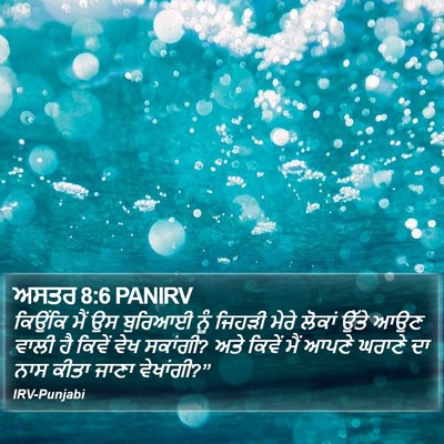 ਅਸਤਰ 8:6 PANIRV Bible Verse Image