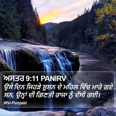 ਅਸਤਰ 9:11 PANIRV Bible Verse Image
