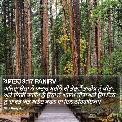 ਅਸਤਰ 9:17 PANIRV Bible Verse Image