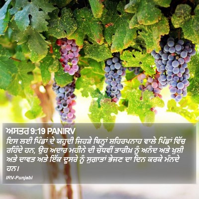 ਅਸਤਰ 9:19 PANIRV Bible Verse Image