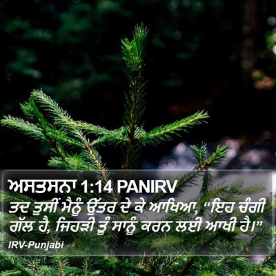 ਅਸਤਸਨਾ 1:14 PANIRV Bible Verse Image