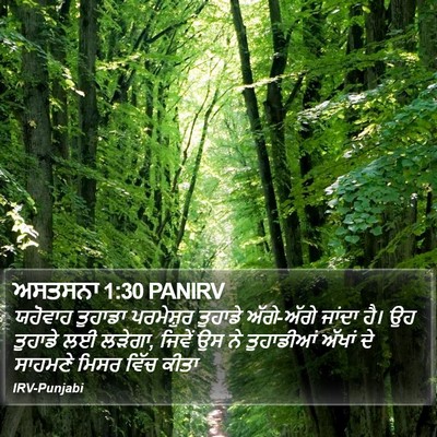 ਅਸਤਸਨਾ 1:30 PANIRV Bible Verse Image
