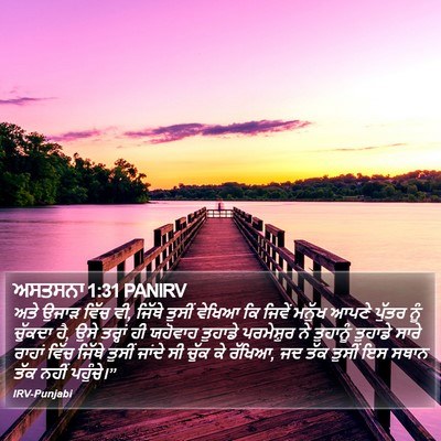 ਅਸਤਸਨਾ 1:31 PANIRV Bible Verse Image
