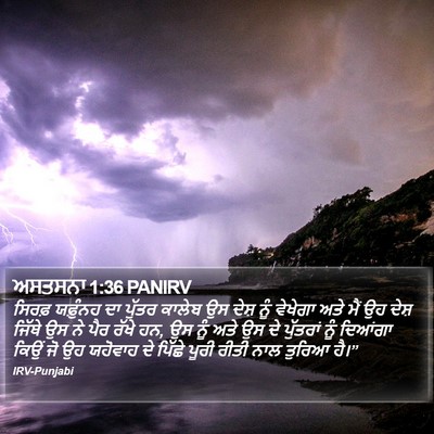 ਅਸਤਸਨਾ 1:36 PANIRV Bible Verse Image