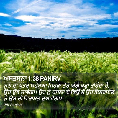 ਅਸਤਸਨਾ 1:38 PANIRV Bible Verse Image