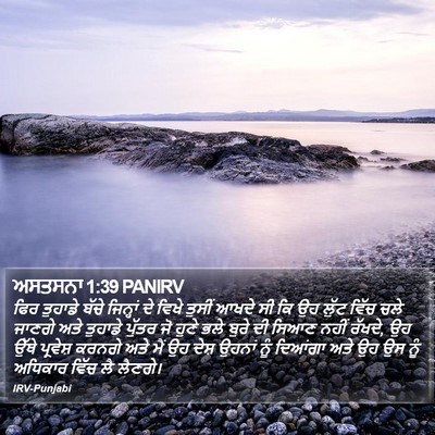 ਅਸਤਸਨਾ 1:39 PANIRV Bible Verse Image