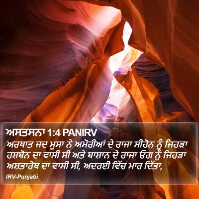 ਅਸਤਸਨਾ 1:4 PANIRV Bible Verse Image