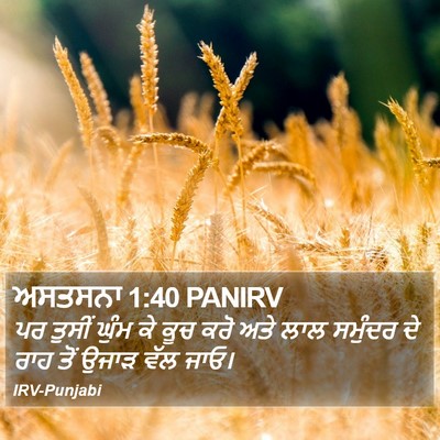 ਅਸਤਸਨਾ 1:40 PANIRV Bible Verse Image