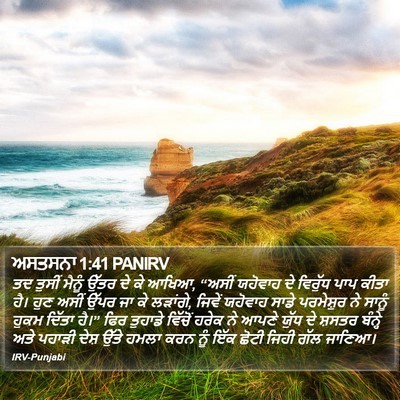 ਅਸਤਸਨਾ 1:41 PANIRV Bible Verse Image