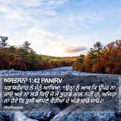 ਅਸਤਸਨਾ 1:42 PANIRV Bible Verse Image