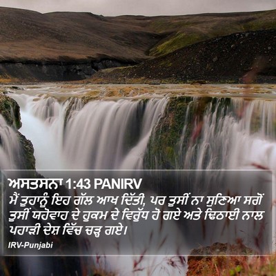 ਅਸਤਸਨਾ 1:43 PANIRV Bible Verse Image
