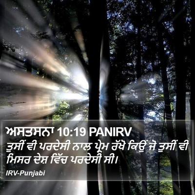 ਅਸਤਸਨਾ 10:19 PANIRV Bible Verse Image