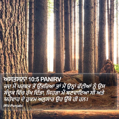 ਅਸਤਸਨਾ 10:5 PANIRV Bible Verse Image