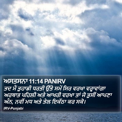 ਅਸਤਸਨਾ 11:14 PANIRV Bible Verse Image