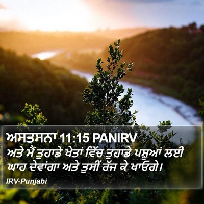 ਅਸਤਸਨਾ 11:15 PANIRV Bible Verse Image