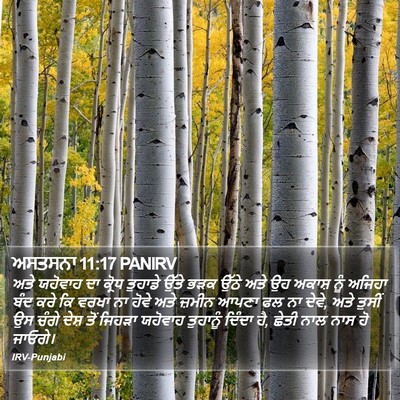ਅਸਤਸਨਾ 11:17 PANIRV Bible Verse Image