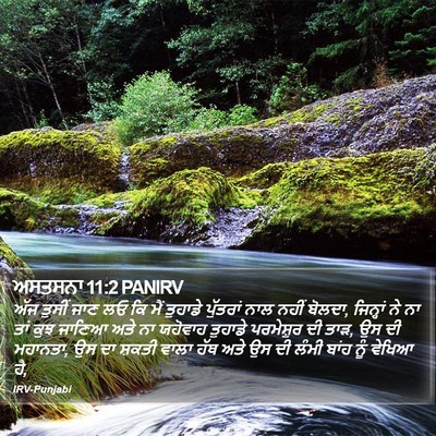 ਅਸਤਸਨਾ 11:2 PANIRV Bible Verse Image