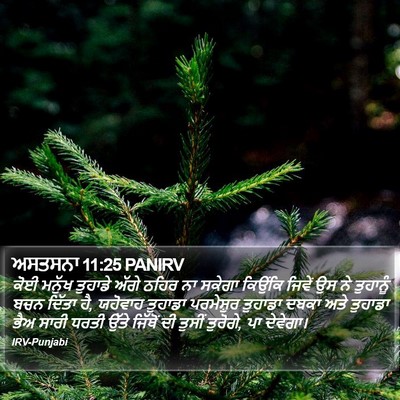 ਅਸਤਸਨਾ 11:25 PANIRV Bible Verse Image