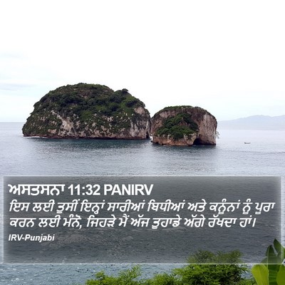 ਅਸਤਸਨਾ 11:32 PANIRV Bible Verse Image