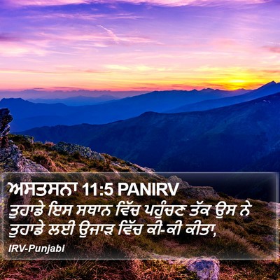 ਅਸਤਸਨਾ 11:5 PANIRV Bible Verse Image