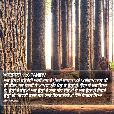 ਅਸਤਸਨਾ 11:6 PANIRV Bible Verse Image