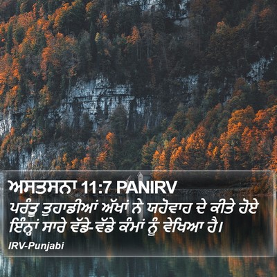 ਅਸਤਸਨਾ 11:7 PANIRV Bible Verse Image