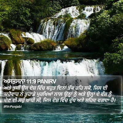 ਅਸਤਸਨਾ 11:9 PANIRV Bible Verse Image