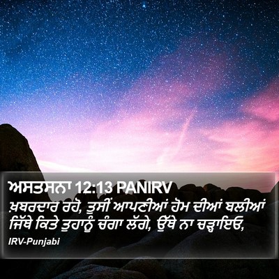 ਅਸਤਸਨਾ 12:13 PANIRV Bible Verse Image