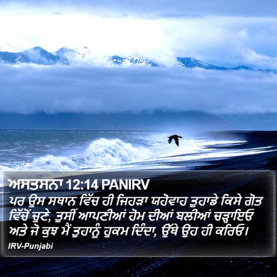 ਅਸਤਸਨਾ 12:14 PANIRV Bible Verse Image