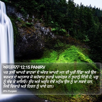 ਅਸਤਸਨਾ 12:15 PANIRV Bible Verse Image