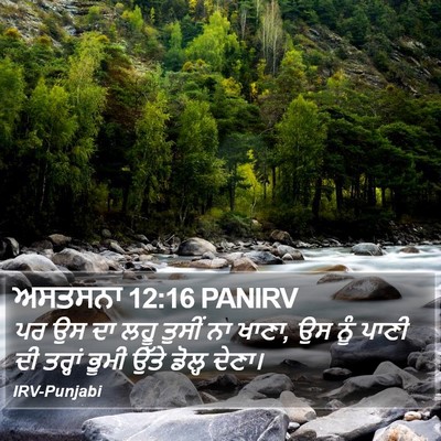 ਅਸਤਸਨਾ 12:16 PANIRV Bible Verse Image