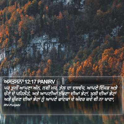ਅਸਤਸਨਾ 12:17 PANIRV Bible Verse Image