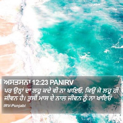 ਅਸਤਸਨਾ 12:23 PANIRV Bible Verse Image