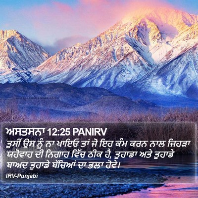 ਅਸਤਸਨਾ 12:25 PANIRV Bible Verse Image