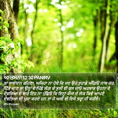 ਅਸਤਸਨਾ 12:30 PANIRV Bible Verse Image