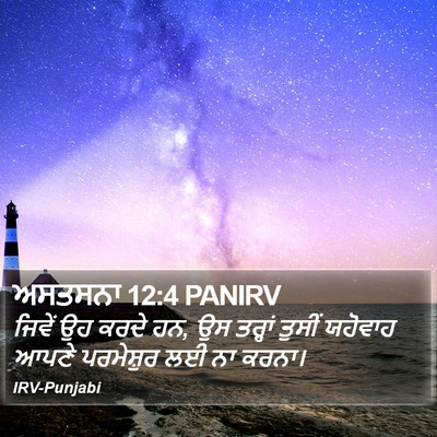 ਅਸਤਸਨਾ 12:4 PANIRV Bible Verse Image