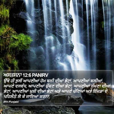 ਅਸਤਸਨਾ 12:6 PANIRV Bible Verse Image