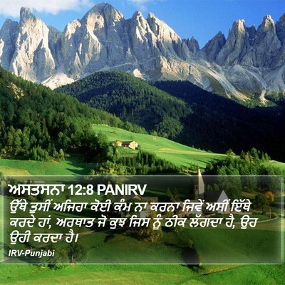 ਅਸਤਸਨਾ 12:8 PANIRV Bible Verse Image