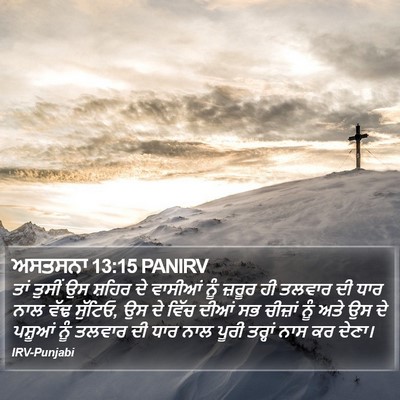 ਅਸਤਸਨਾ 13:15 PANIRV Bible Verse Image