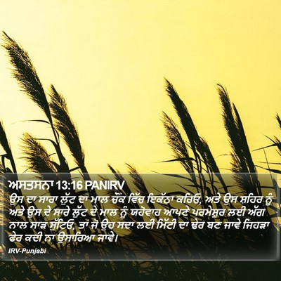ਅਸਤਸਨਾ 13:16 PANIRV Bible Verse Image