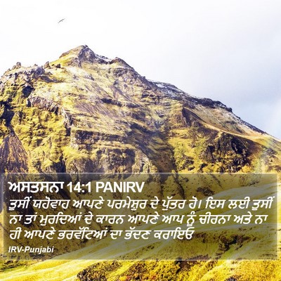 ਅਸਤਸਨਾ 14:1 PANIRV Bible Verse Image