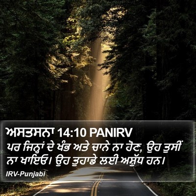 ਅਸਤਸਨਾ 14:10 PANIRV Bible Verse Image