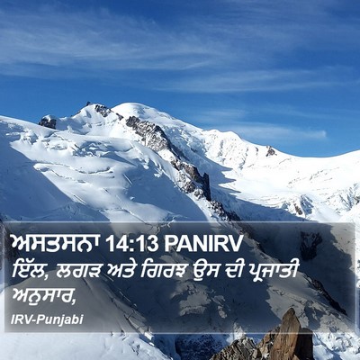 ਅਸਤਸਨਾ 14:13 PANIRV Bible Verse Image