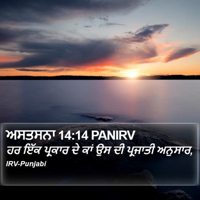 ਅਸਤਸਨਾ 14:14 PANIRV Bible Verse Image