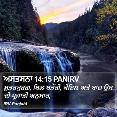 ਅਸਤਸਨਾ 14:15 PANIRV Bible Verse Image