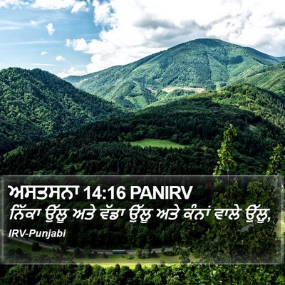 ਅਸਤਸਨਾ 14:16 PANIRV Bible Verse Image