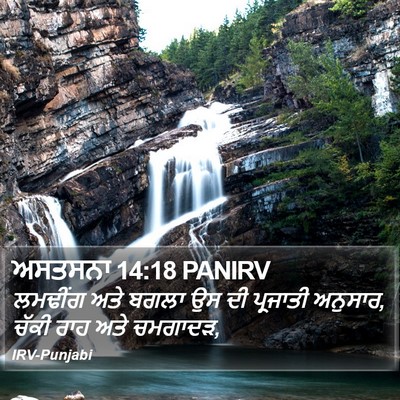 ਅਸਤਸਨਾ 14:18 PANIRV Bible Verse Image