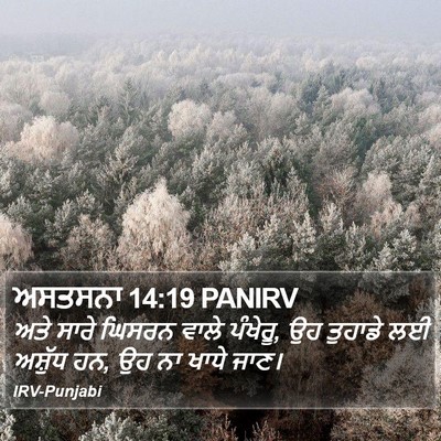 ਅਸਤਸਨਾ 14:19 PANIRV Bible Verse Image