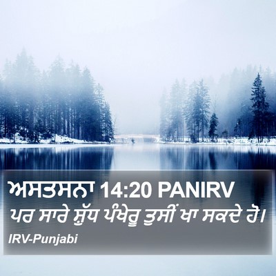 ਅਸਤਸਨਾ 14:20 PANIRV Bible Verse Image