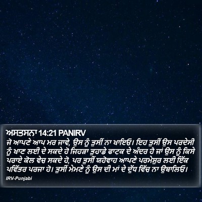 ਅਸਤਸਨਾ 14:21 PANIRV Bible Verse Image